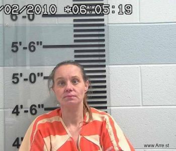 Cynthia Michaela Danner Mugshot