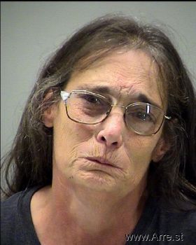 Cynthia L Ryan Mugshot