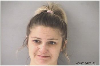 Danielle Nicole Chaney Mugshot