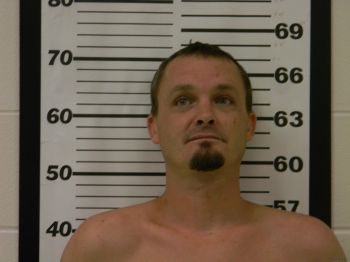 David Lee Parsons Mugshot