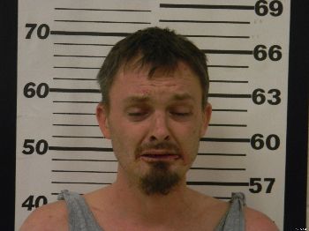 David Lee Parsons Mugshot