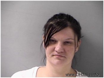 Deanna Lee Williams Mugshot