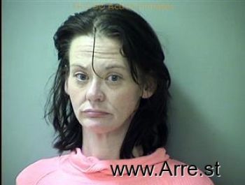 Dale Ann Riley Mugshot