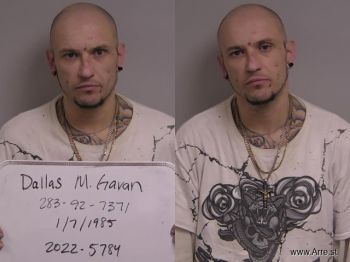 Dallas M Gavan Mugshot