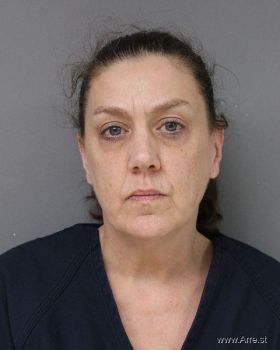 Dana Eileen Nadybal Mugshot