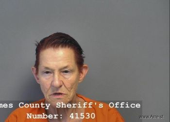 Dana Lynne Vanbenthuysen Mugshot