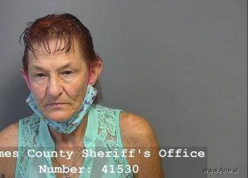 Dana Lynne Vanbenthuysen Mugshot