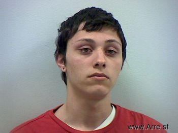 Dane L Palmer Mugshot