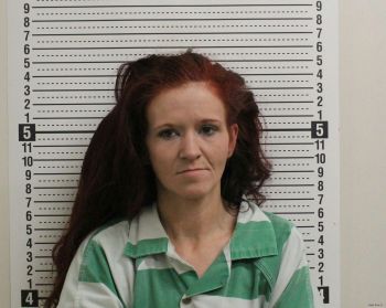 Danee Lynn Smith Mugshot