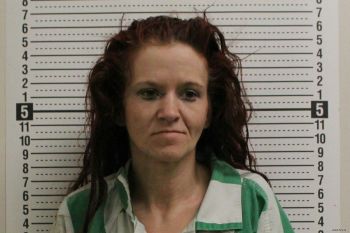 Danee Lynn Smith Mugshot