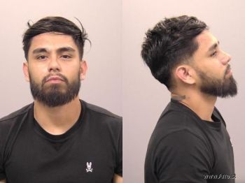 Daniel  Hinojosa Rosas Mugshot