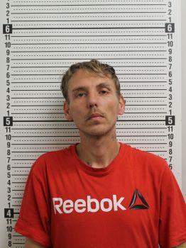 Daniel Wayne Long Mugshot