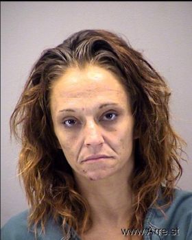 Danielle Renee Hicks Mugshot