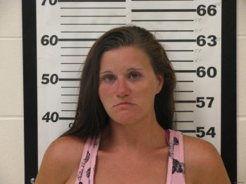 Danielle Nicole Mitchell Mugshot