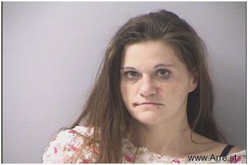 Danielle Nicole Mitchell Mugshot