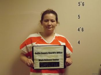 Danielle  Smith Mugshot