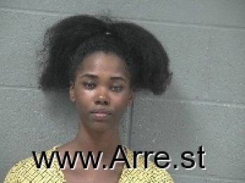 Danielle Renee Stokes Mugshot