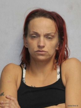 Danielle Nicole Wallace Mugshot