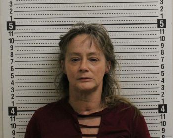 Danielle Renee Wheeler Mugshot