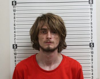 David Skyler Joseph Au Mugshot