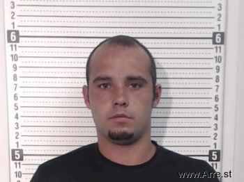 David Lee Blevins Mugshot