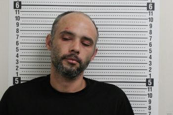 David Lee Blevins Mugshot