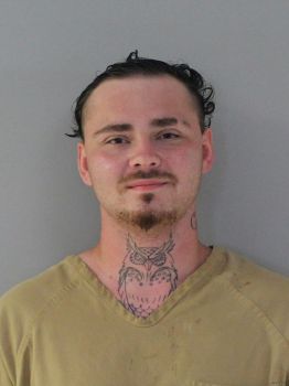 David Lee Daniels Mugshot