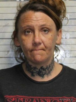 Davida Ann Beckett Mugshot