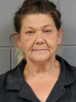 Deborah A Jenkins Mugshot