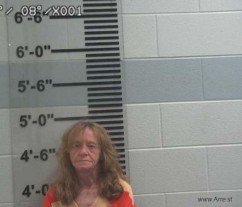 Debra Sue Blair Mugshot