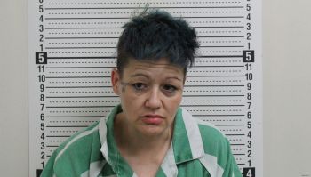 Debra Lee Lewis Mugshot