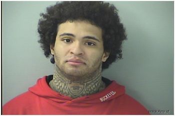 Demetrius Nmn Williams Jr Mugshot