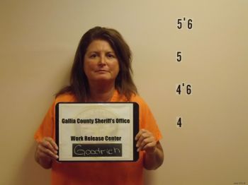 Denise  Goodrich Mugshot