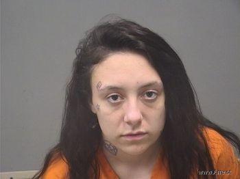 Desiree Lynn Collins Mugshot