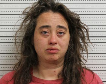 Desiree M Johnson Mugshot