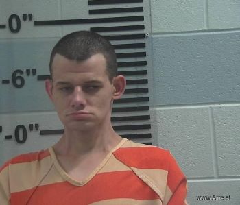 Devon Skyler Romine Mugshot