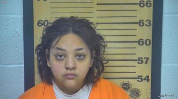 Diana M Garcia Mugshot