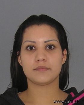 Diana  Sanchez Mugshot