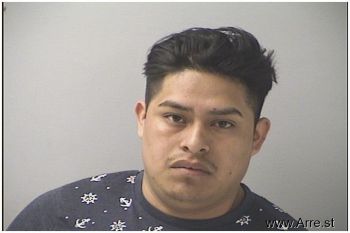 Diego Armando Mendoza-velasco Mugshot