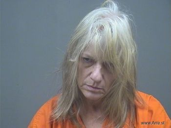 Donna Jean Partlow Mugshot