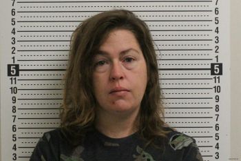 Donna K Simpson Mugshot