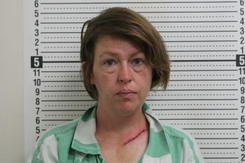 Donna Kay Simpson Mugshot