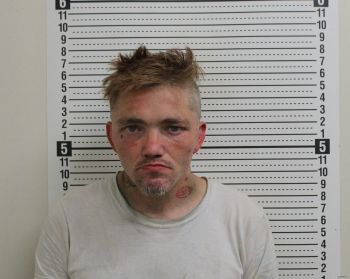 Douglas Carl Whitson Jr Mugshot