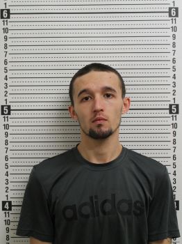 Dustin L Cummings Mugshot