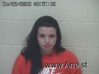 Elissa M Williams Mugshot