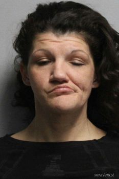 Elizabeth Ann Amann Mugshot