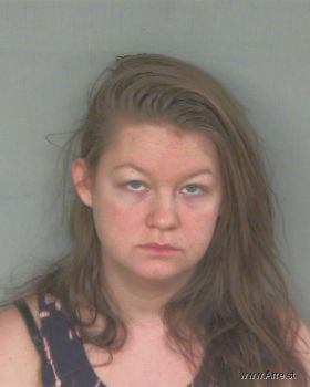 Elizabeth Renee Barnes Mugshot