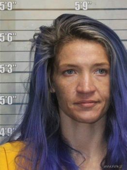 Elizabeth Marie Marcum Mugshot