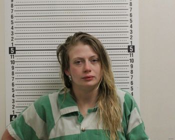 Emily Ann Dunn Mugshot