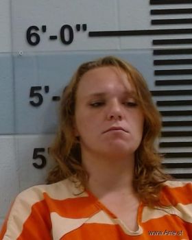 Erica  Adkins Mugshot